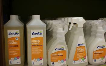 Entretien Ecologique Niort Bessines