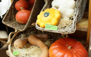 LÃ©gumes bio Bessines